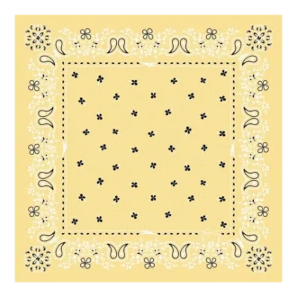 French Bandana Silk scarf 50