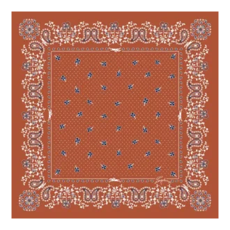 French Bandana Silk scarf 50