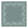 French Bandana Silk scarf 50