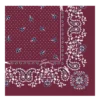 French Bandana Silk scarf 50
