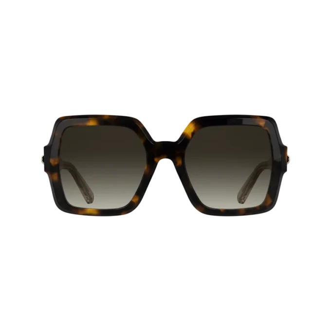 Havana Brown – OTHER Sunglasses