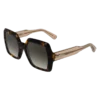 Havana Brown – OTHER Sunglasses