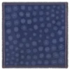 La Médaille Longchamp Shawl