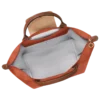 Le Pliage Original M Handbag