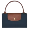 Le Pliage Original M Handbag