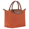 Le Pliage Original S Handbag