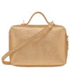Le Pliage Xtra Crossbody bag