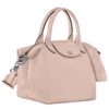 Le Pliage Xtra S Handbag
