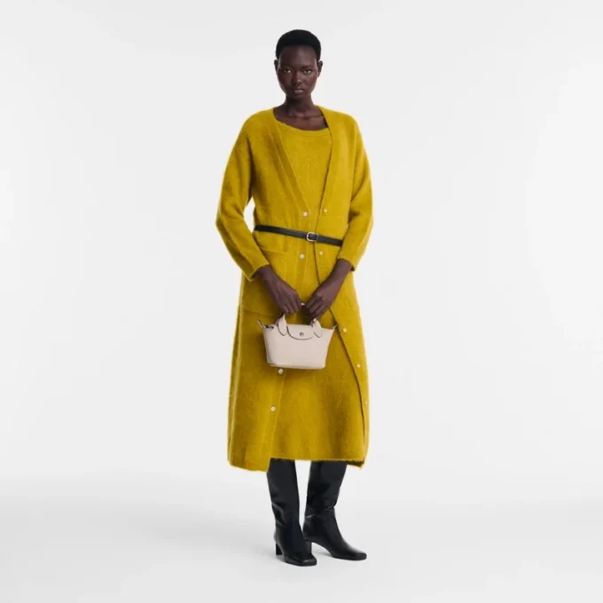 Le Pliage Xtra XS Handbag