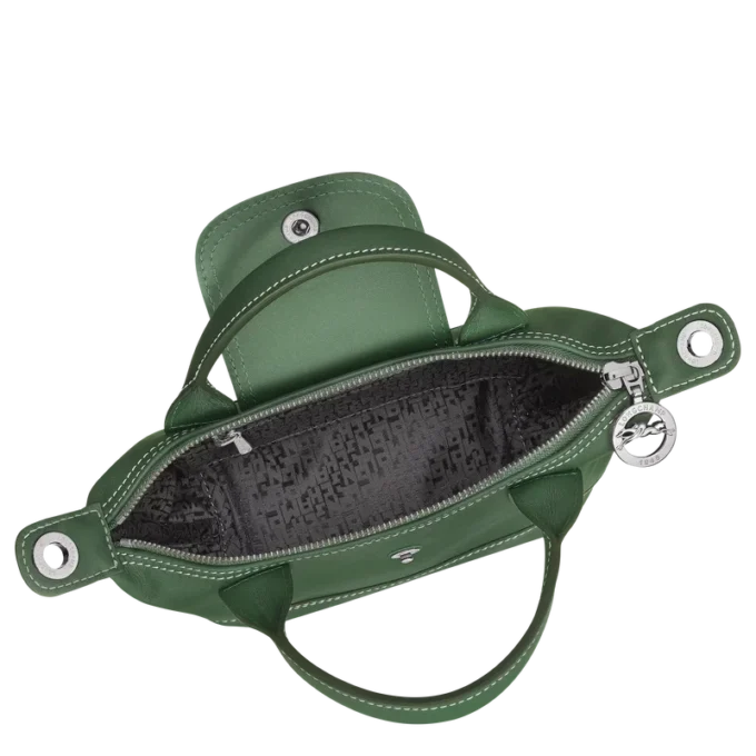 Le Pliage Xtra XS Handbag