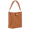 Le Roseau M Hobo bag