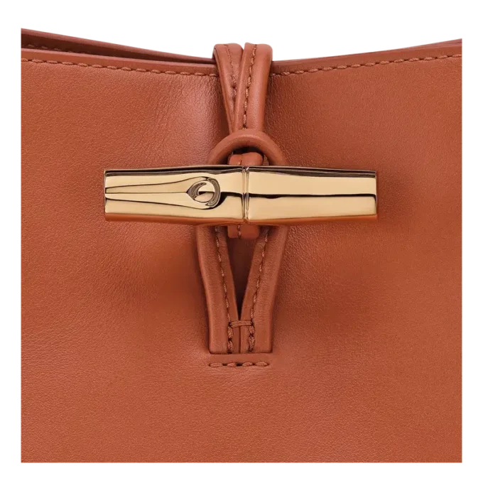 Le Roseau M Hobo bag
