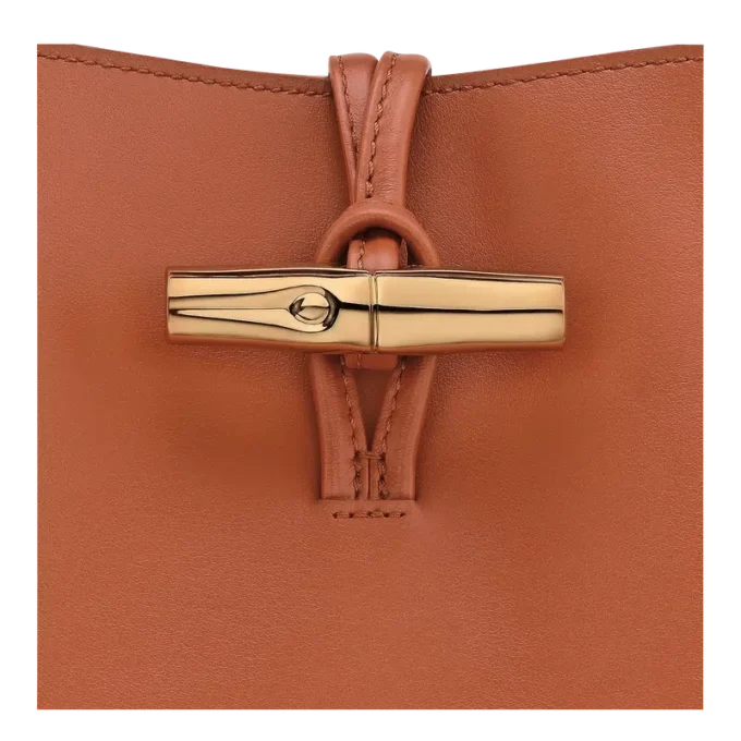 Le Roseau M Hobo bag