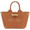 Le Roseau XS Handbag