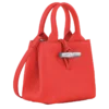 Le Roseau XS Handbag