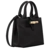 Le Roseau XS Handbag