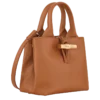 Le Roseau XS Handbag