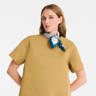 Rubans Longchamp Silk scarf 50