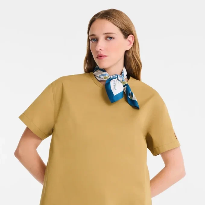 Rubans Longchamp Silk scarf 50